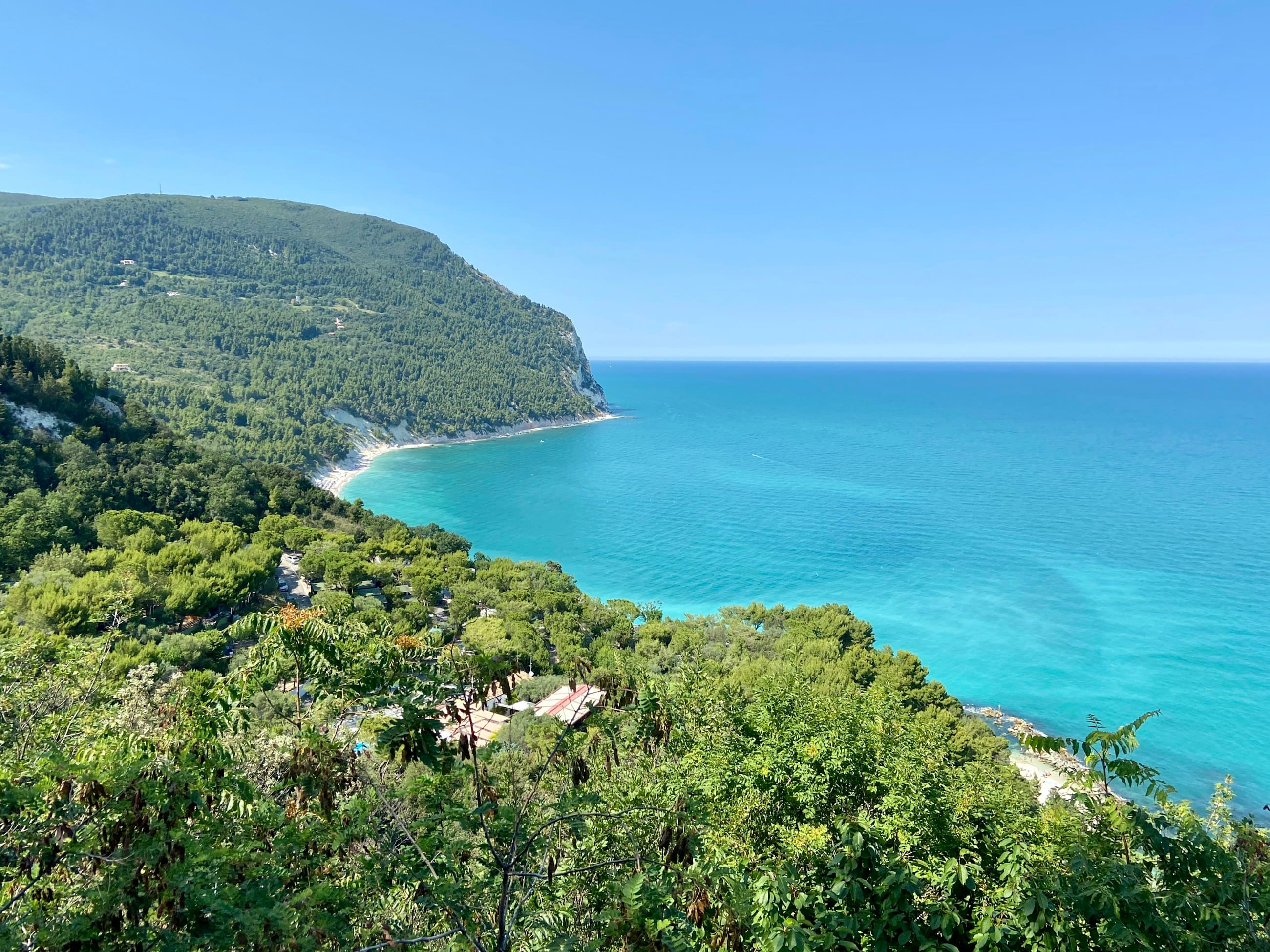 The wooded headland of Monte Conero dropping into clear blue sea, a strip of beach at the foot of the cliff.