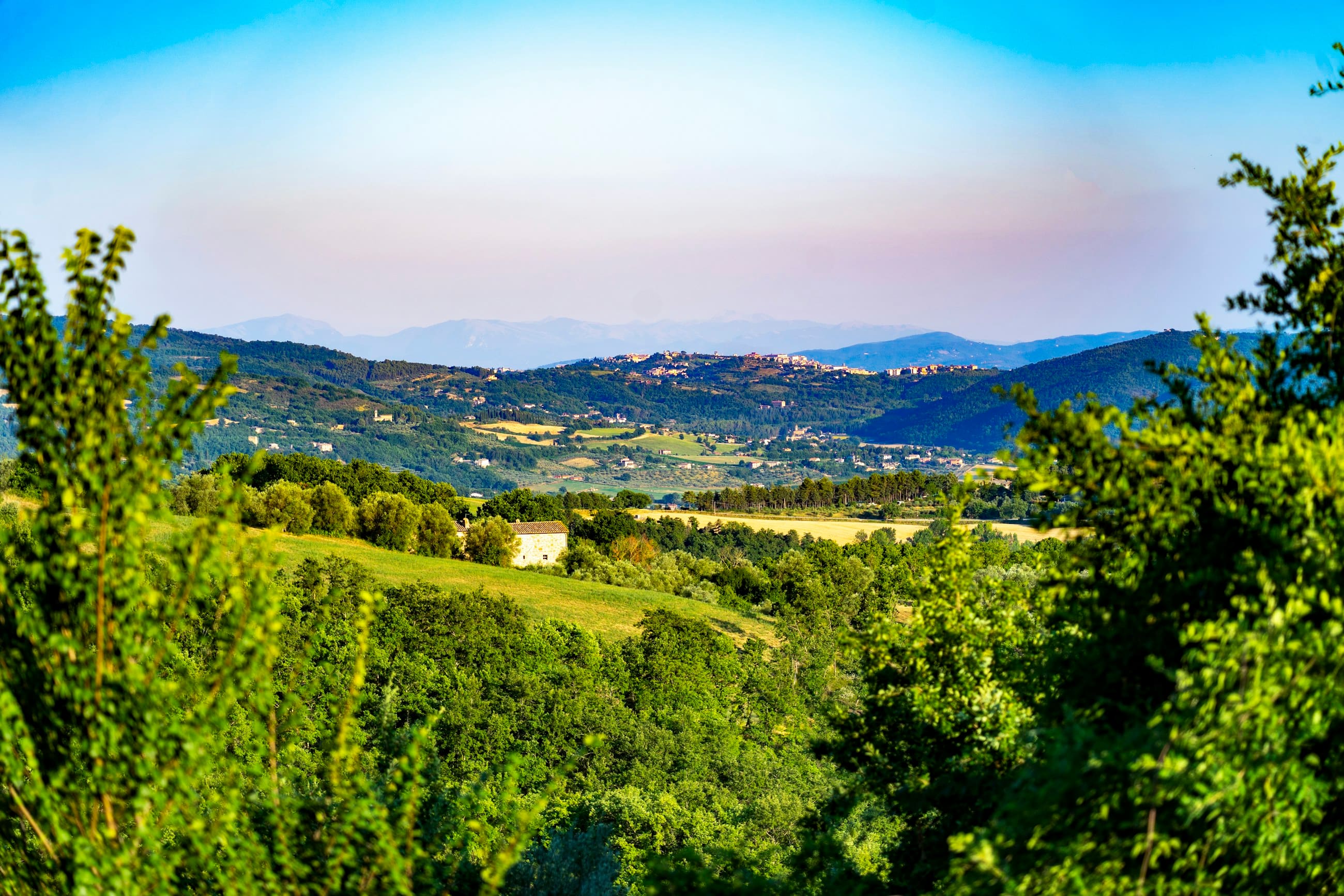 Green Umbrian farmland and scattered trees falling away to a wide valley, a hill town on the far ridge.